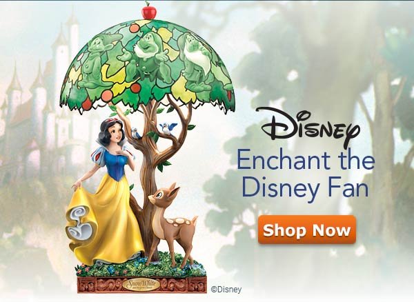 Enchant the Disney Fan - Shop Now!