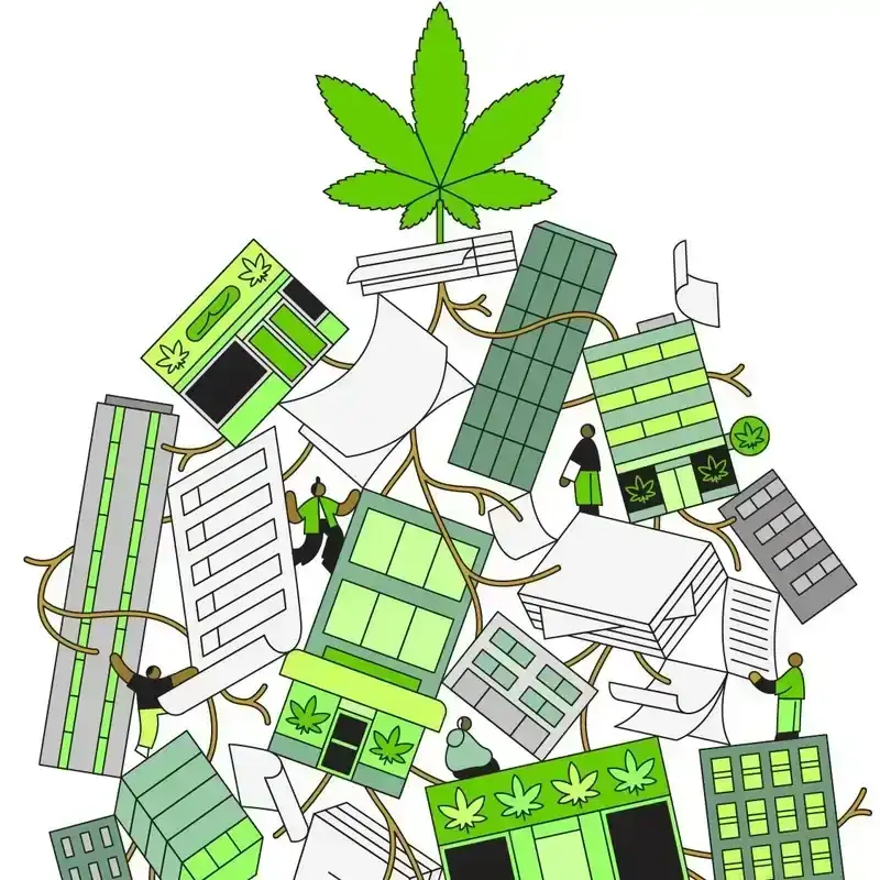 A cannabis leaf growing roots into buildings and piles of paper. 