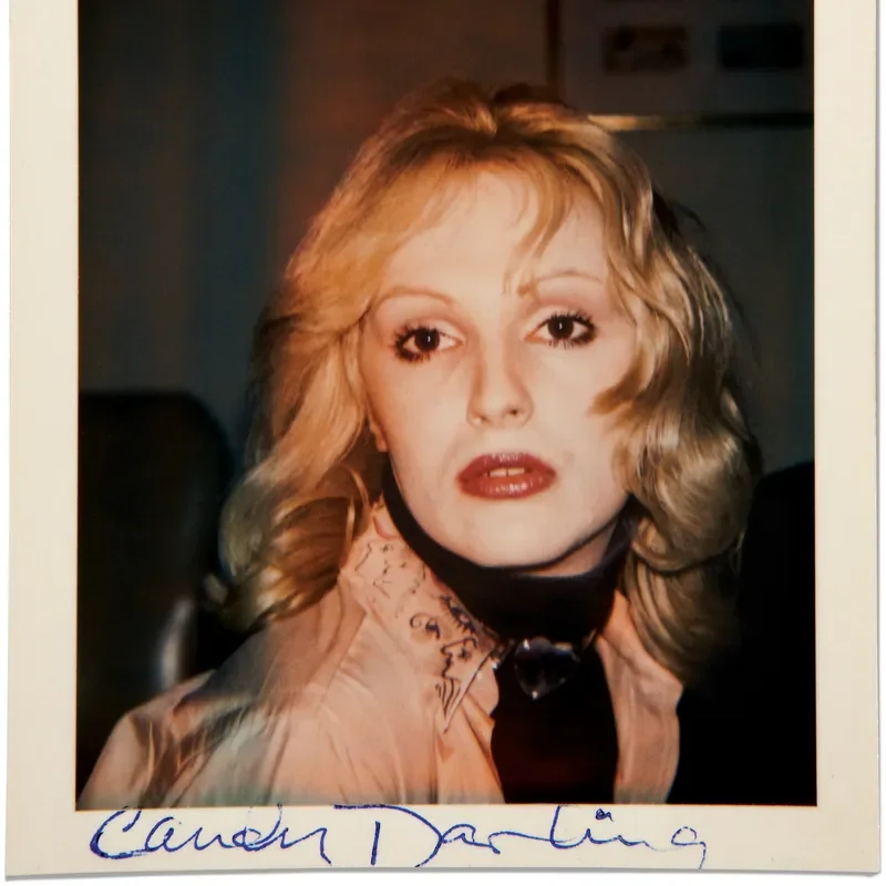 “Candy Darling,” Photograph by Andy Warhol. 