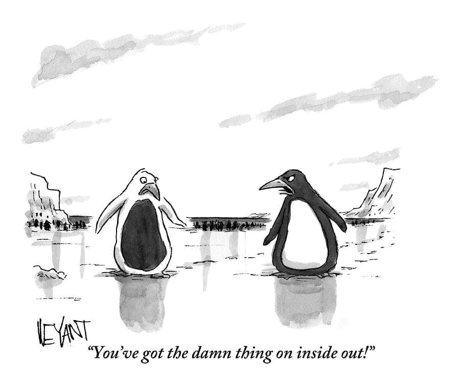 Two penguins talking to each other. One of them tells the other that he's wearing his suit inside out.