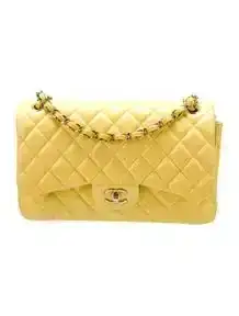 Classic Double Flap Bag