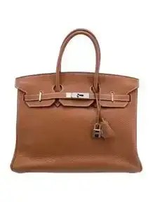 Togo Birkin 35