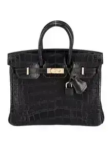 2023 Matte Alligator Birkin 25