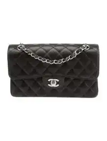 Classic Small Double Flap Bag