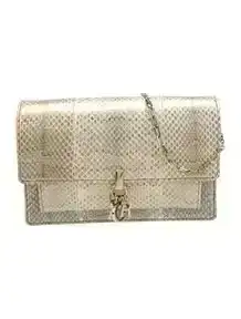 2021 Python Ayers Lady Dior Chain Pouch w/Tags