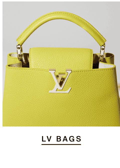 LV Bags