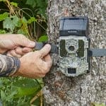 Trail Camera Buyer’s Guide