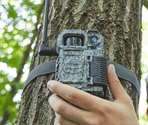 Trail Cameras