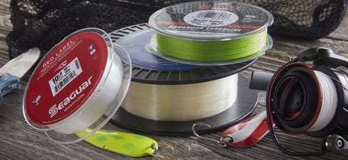Choosing the Right Fishing Line Article