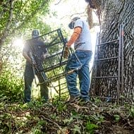 Tree Stands