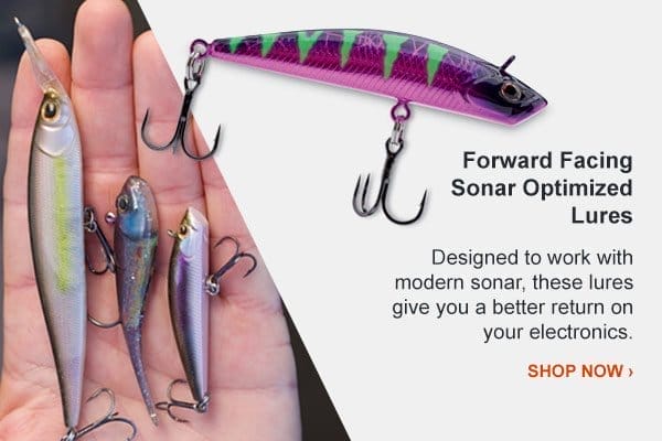 Forward Facing Sonar Lures