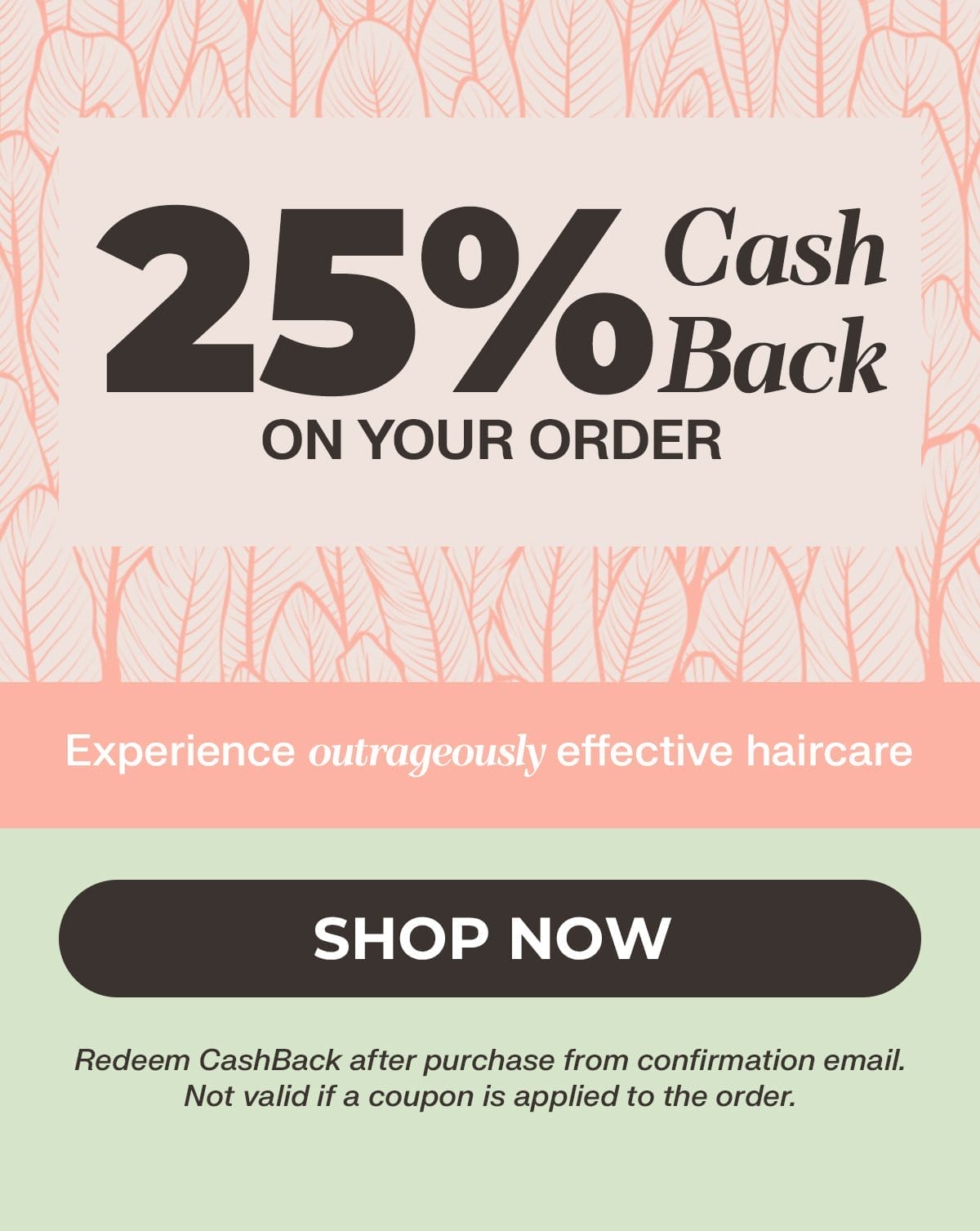 25% cash back