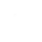 instagram Button