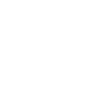 instagram Button