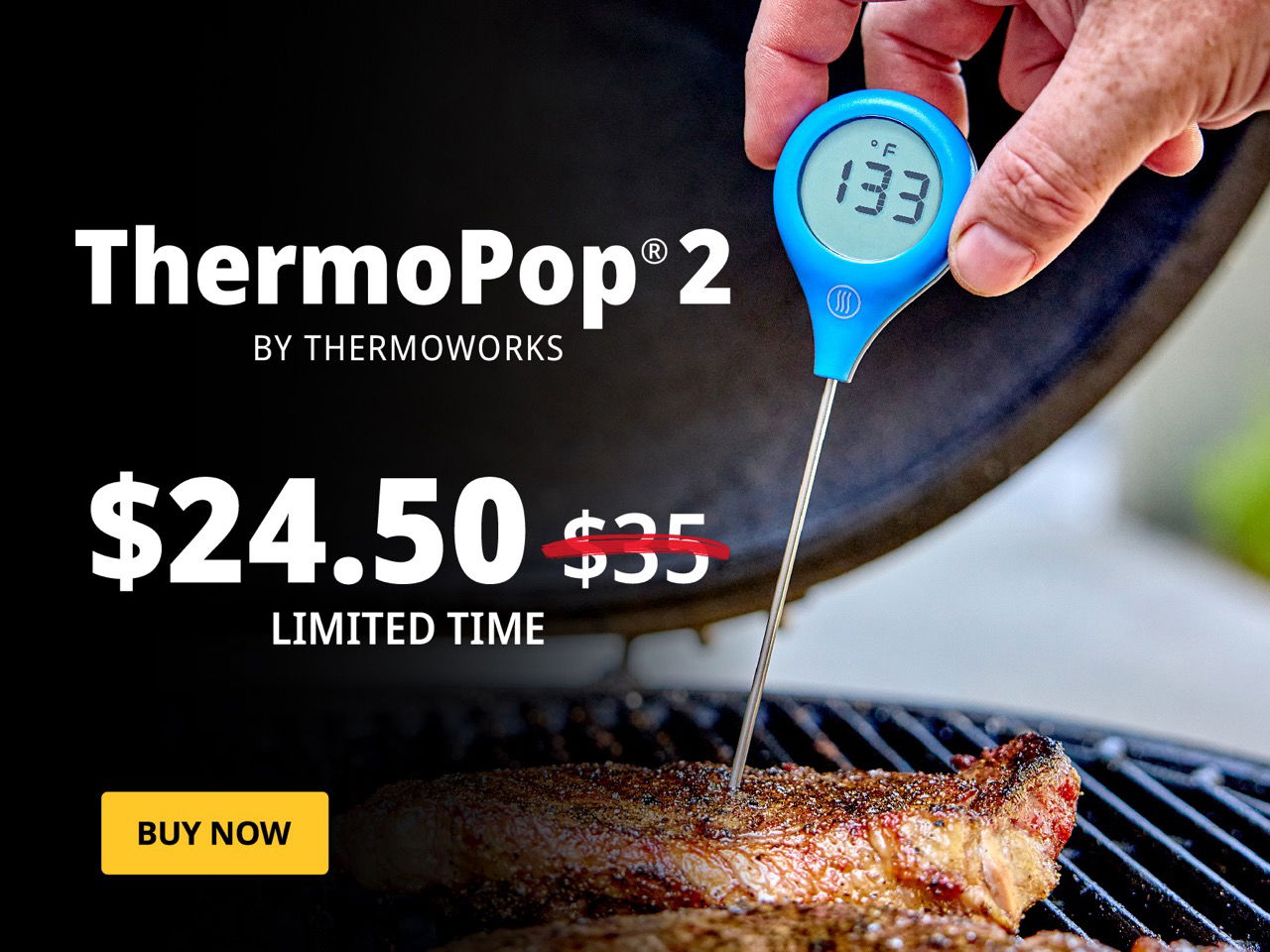 Thermapen IR