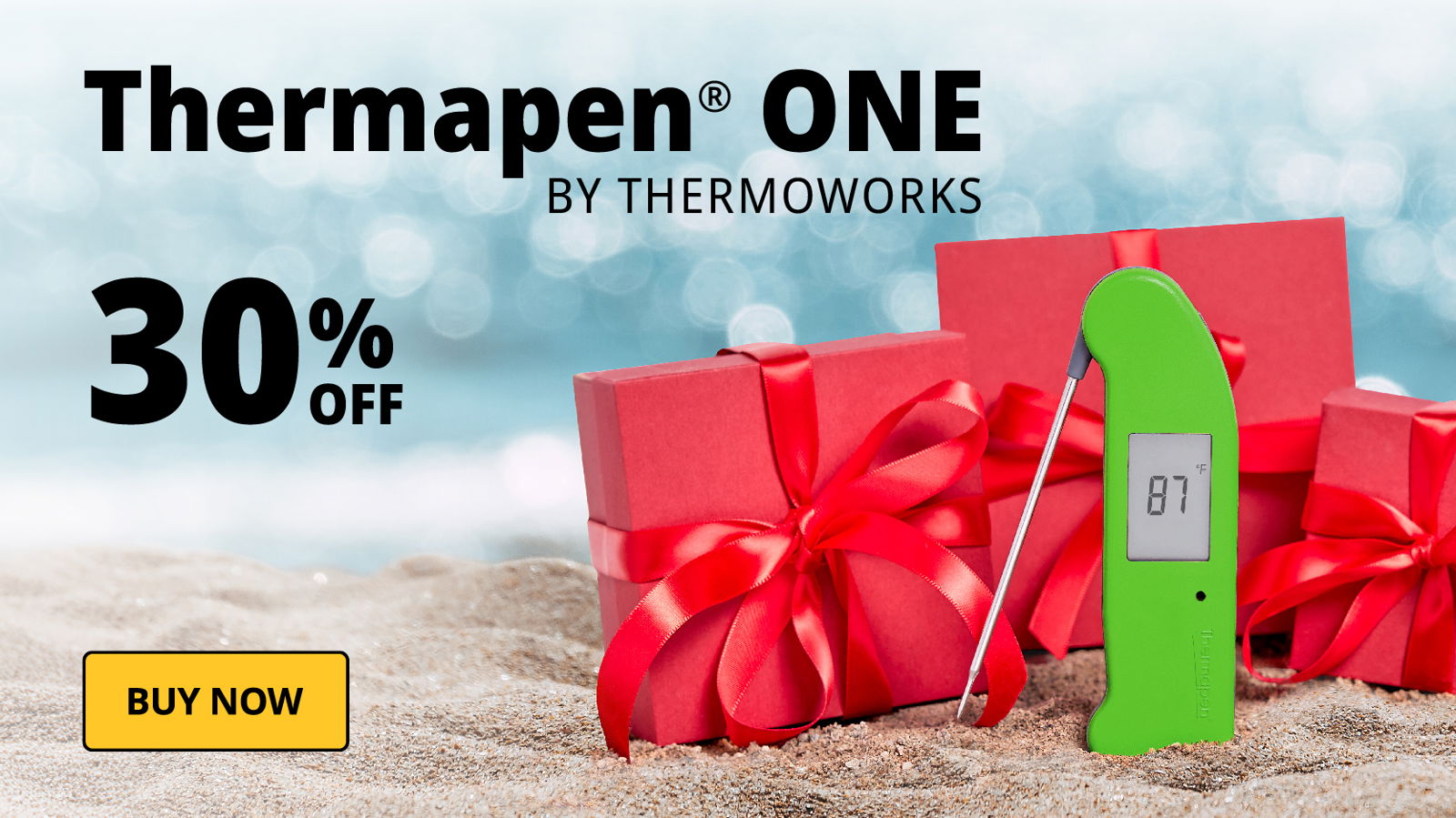 Thermapen ONE