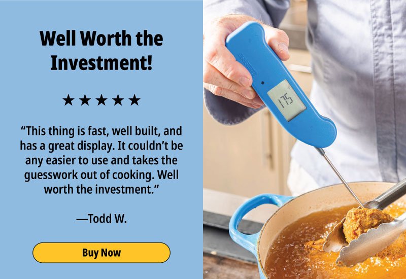 Thermapen ONE