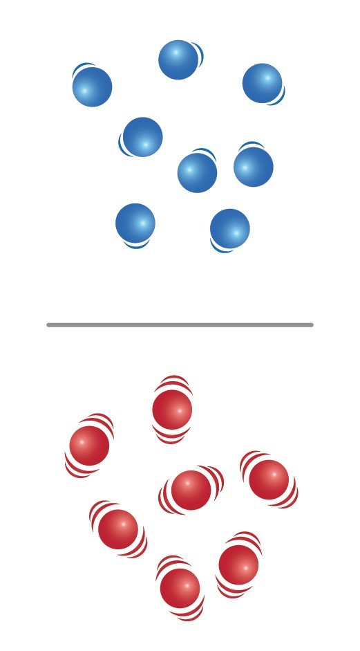 Molecule Speed