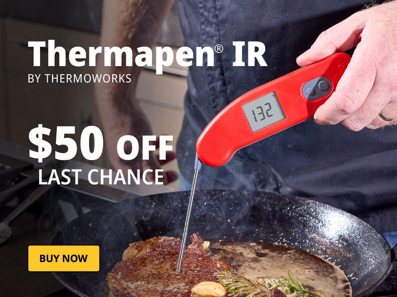 Thermapen IR