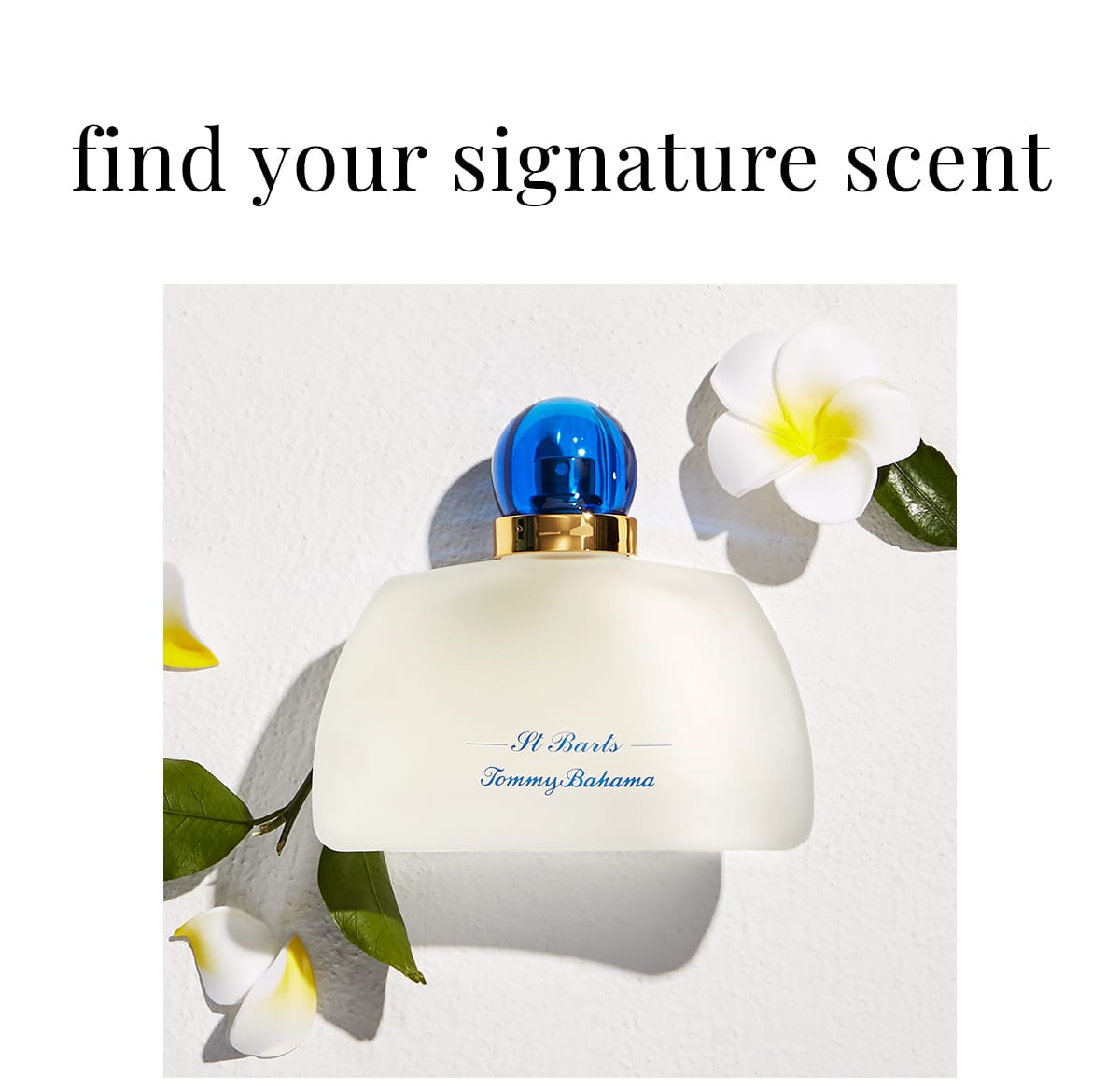 Find your signature scent