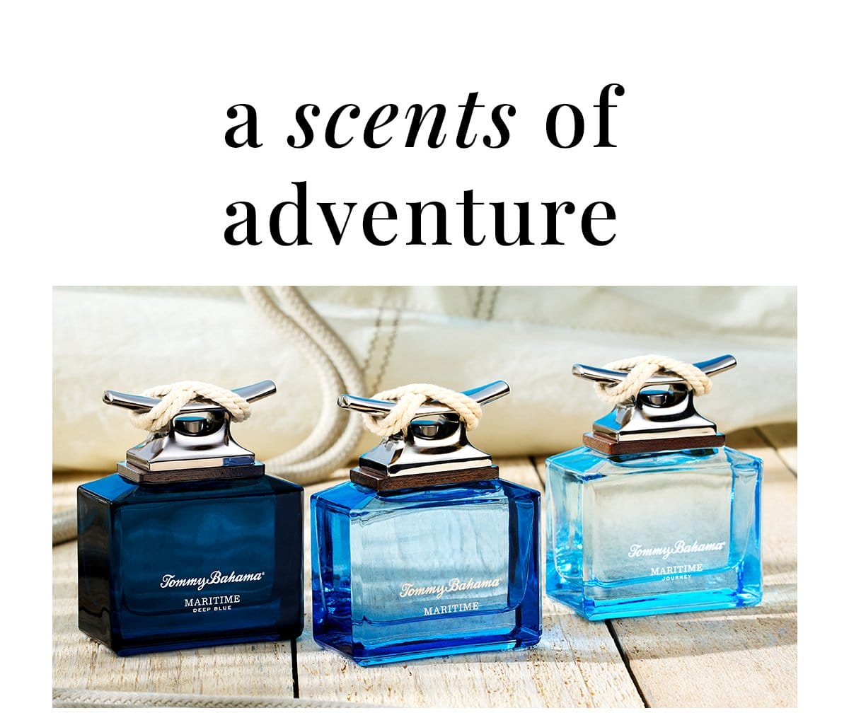 A scents of adventure