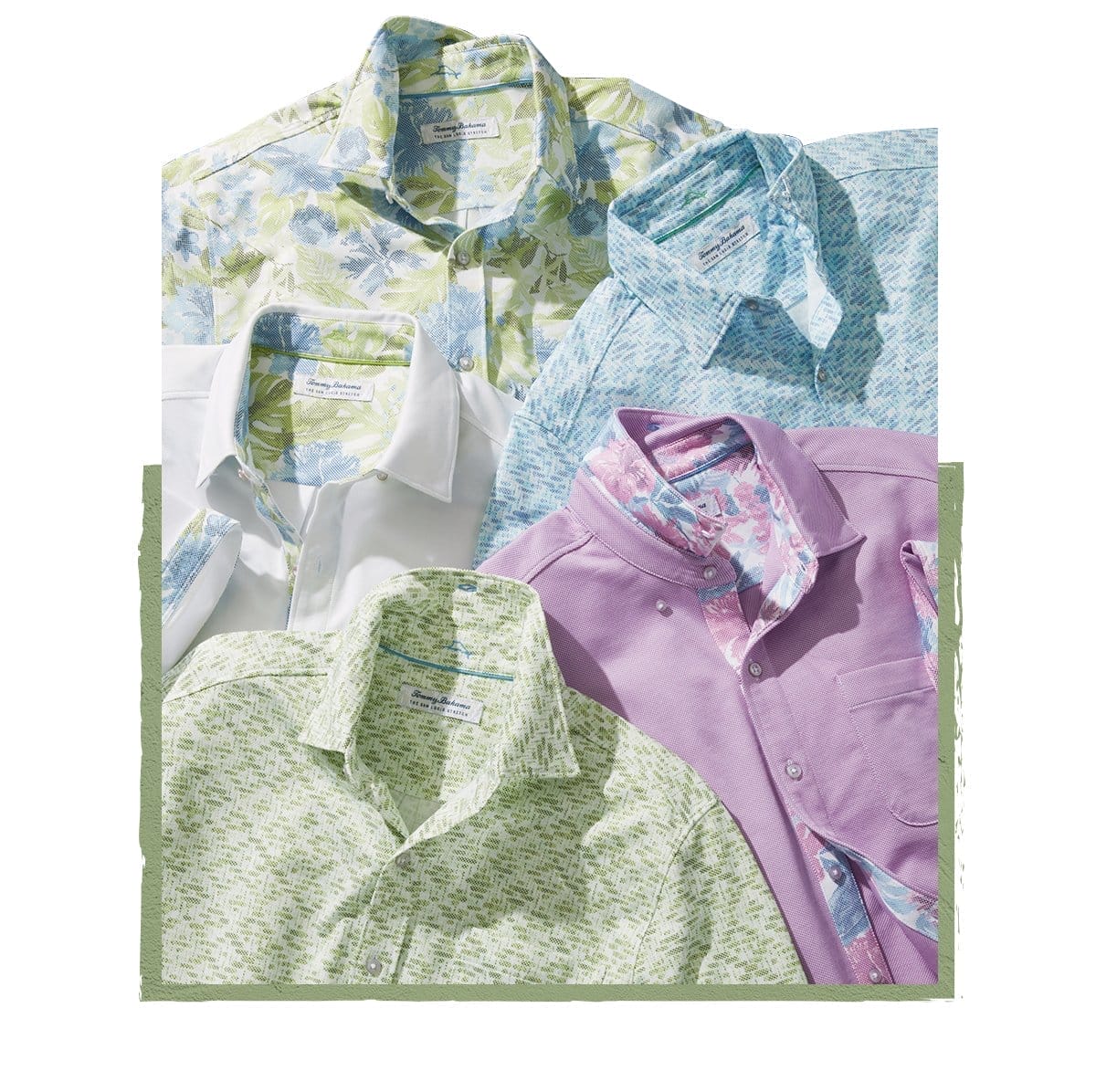 Shop San Lucio Shirts