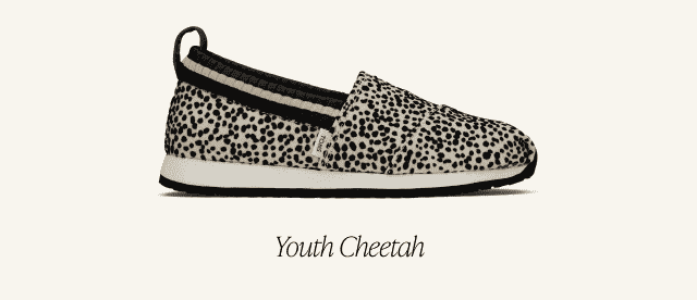 Youth Cheetah