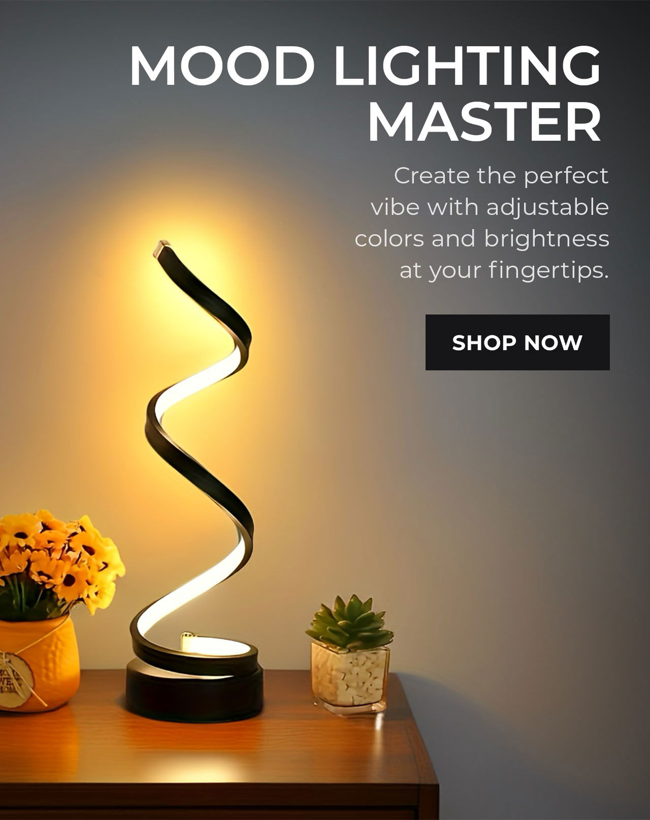 Mood Lighting Master | SHOP NOW