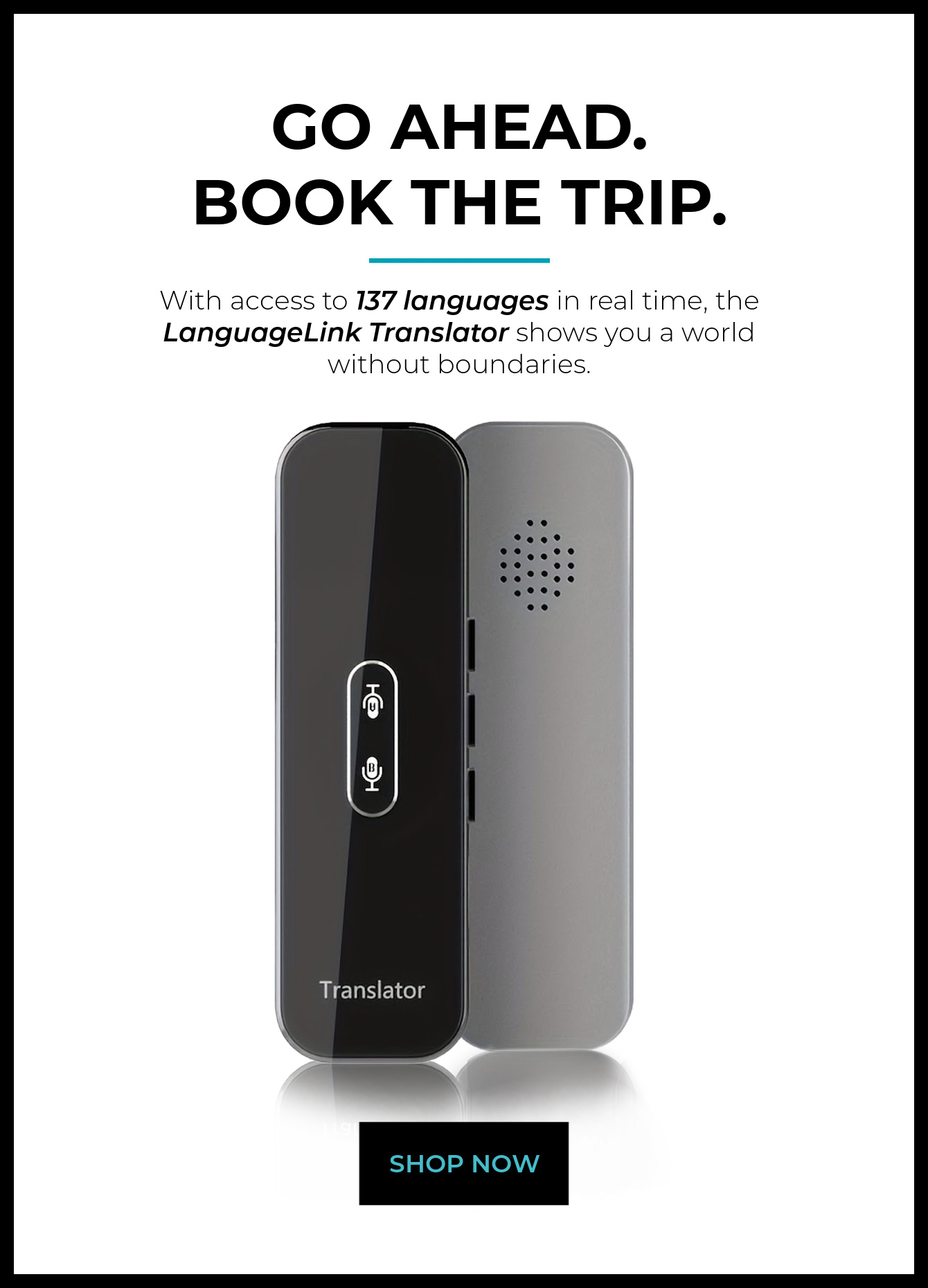 LanguageLink Translator