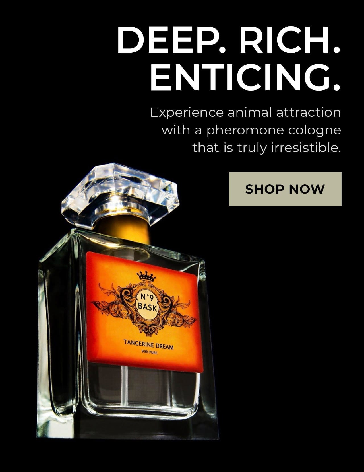 Tangerine Dream Cologne | SHOP NOW