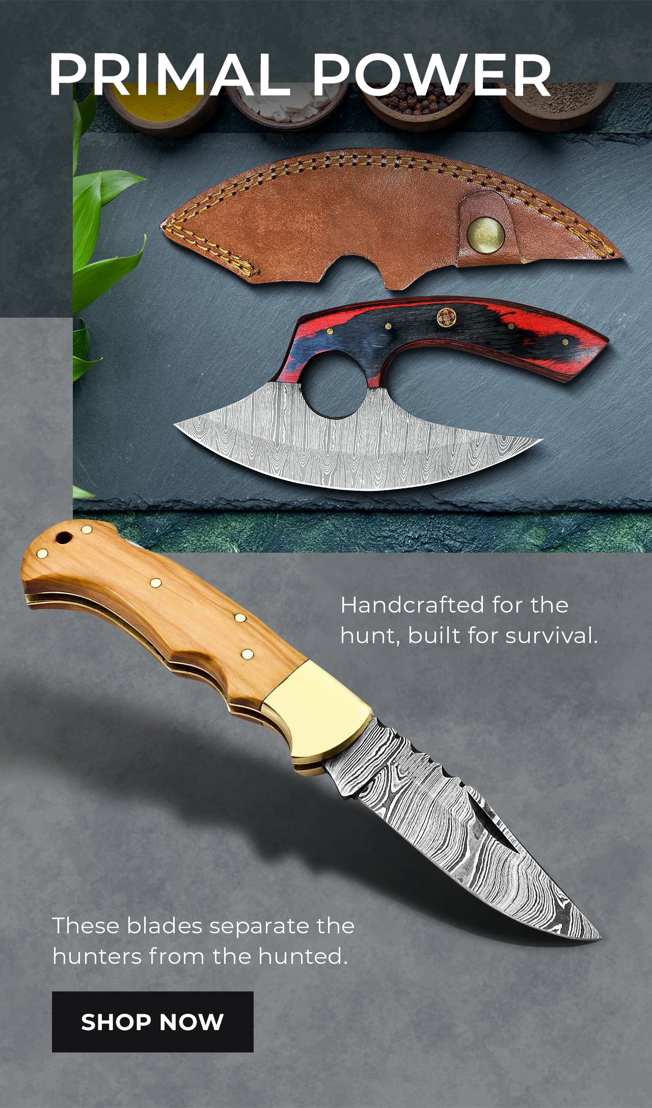 Hunting Knives | SHOP NOW