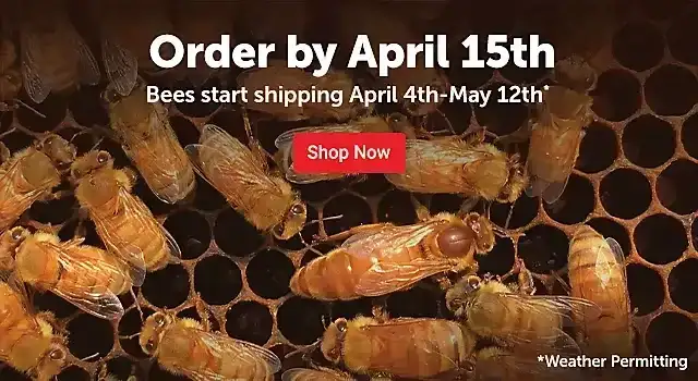  2024PreOrderBees 