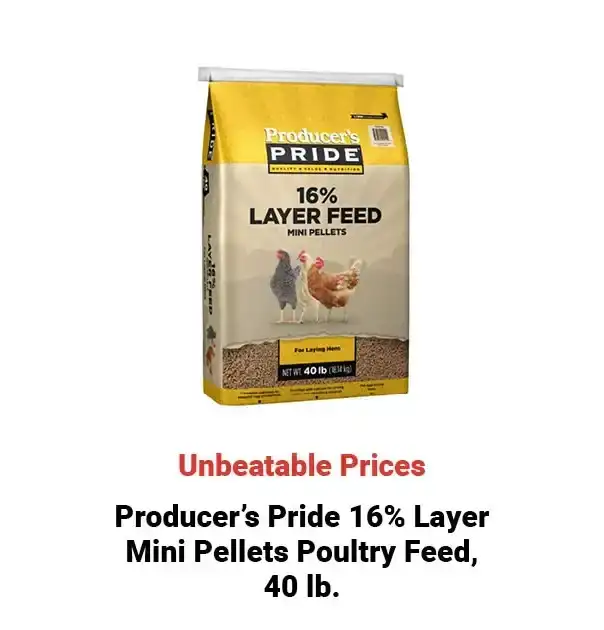  24Week17ProducerPrideLayerMiniPelletPoultryFeedlb 