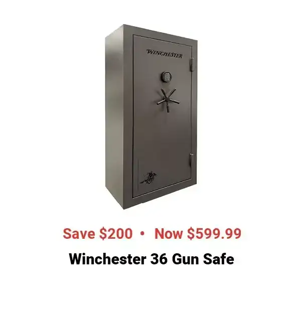  24Week17Wincheter36Gunsafe 