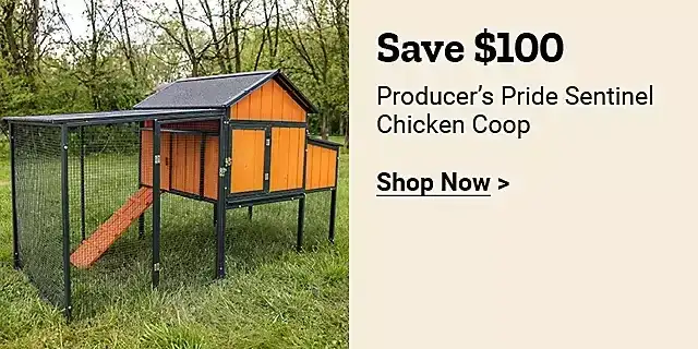  24Week16ProducersPrideSentinelChickenCoop 