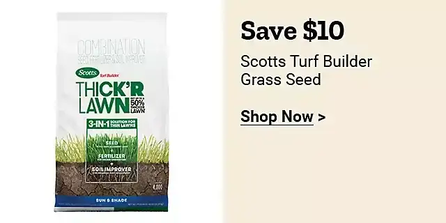  24Week16ScottsTurfBuilderGrassSeed 