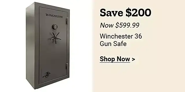  24Week19WinchesterGunSafe 