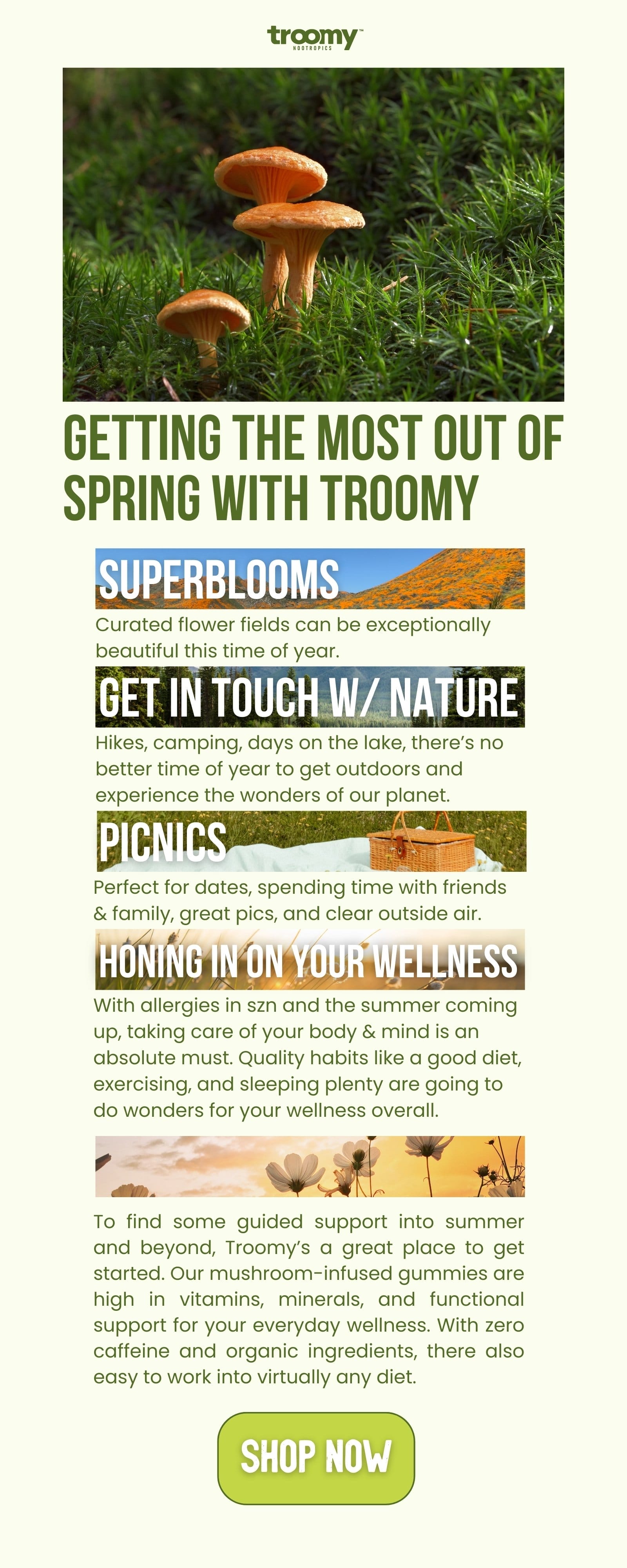 Medicinal Mushrooms - Troomy Nootropics - Health Benefits of Daily medicinal mushroom wellness