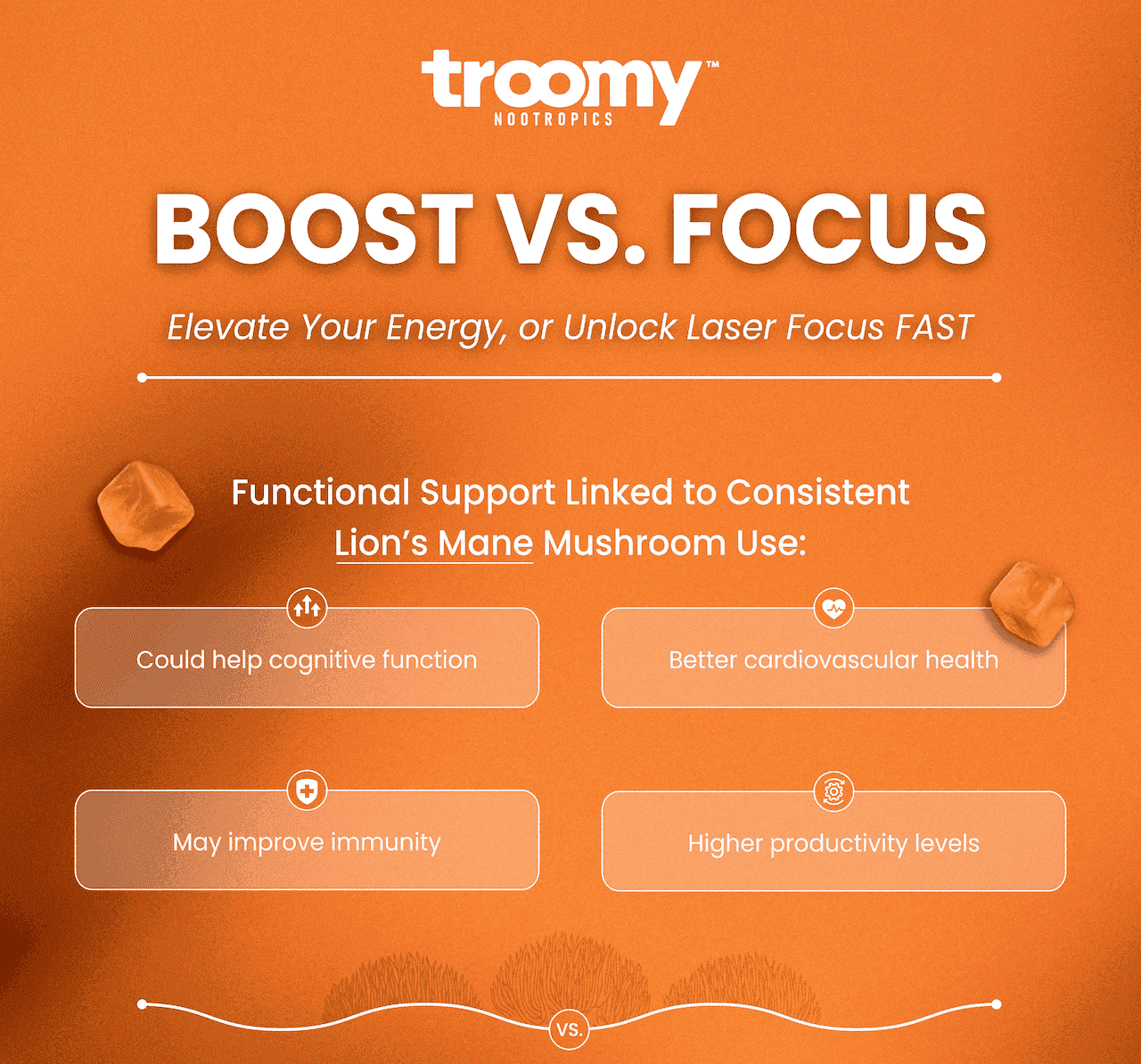 Troomy Nootropics - Medicinal Mushrooms - Health Benefits of Mushrooms