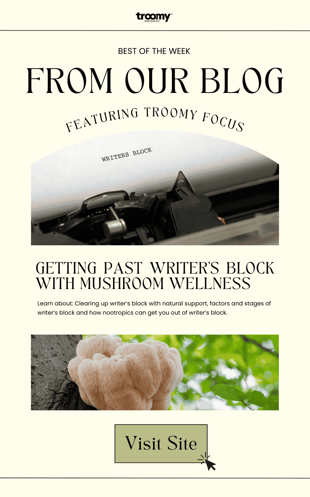 Medicinal Mushroom Gummies - Super Bowl - Troomy Nootropics