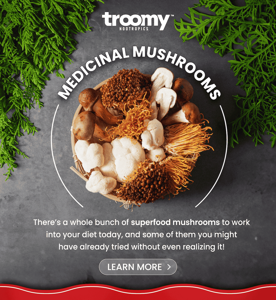 Medicinal Mushrooms - Troomy Nootropics - Health Benefits of Medicinal Mushrooms - Whittier, CA