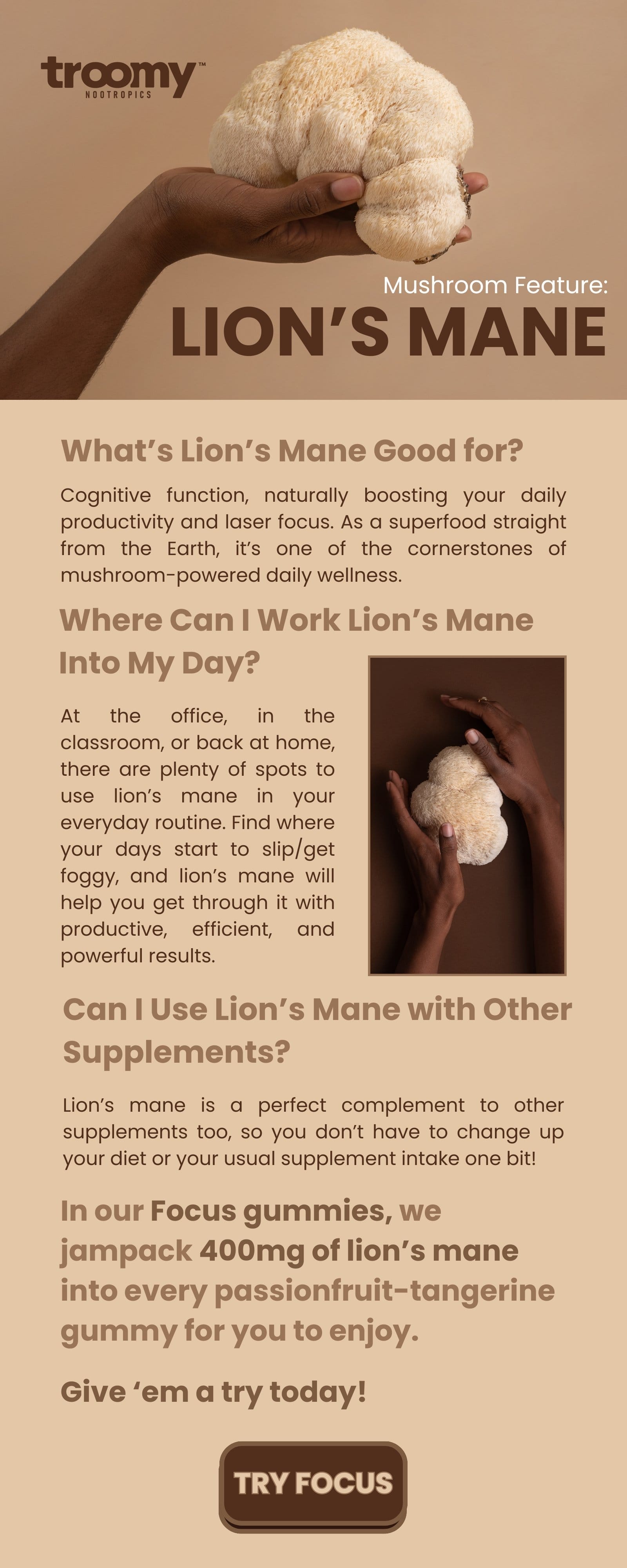 Lion's mane mushrooms - Health Benefits of Medicinal Mushrooms - Troomy Nootropics