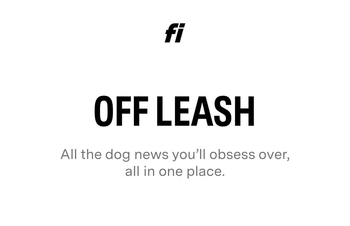 OFF LEASH by Fi