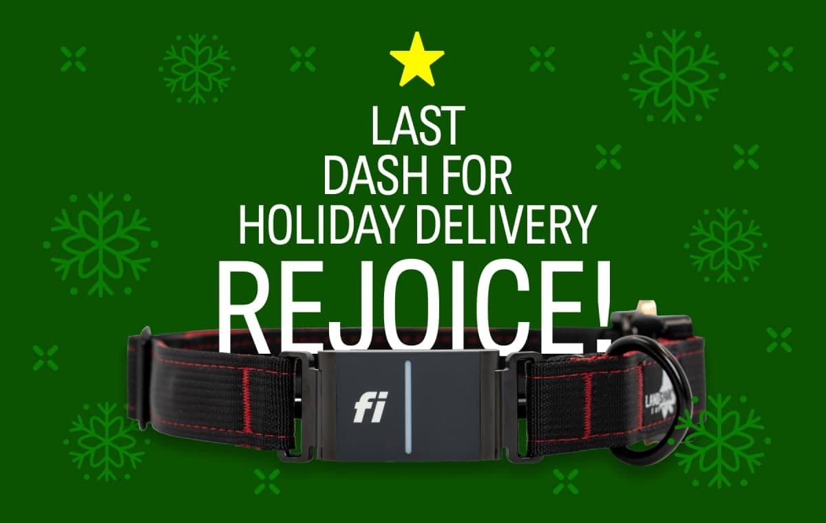 Last dash for holiday delivery REJOICE!