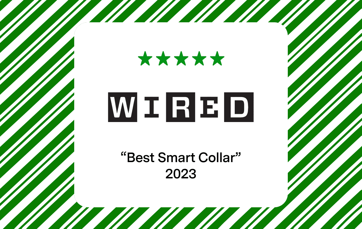 WIRED: 