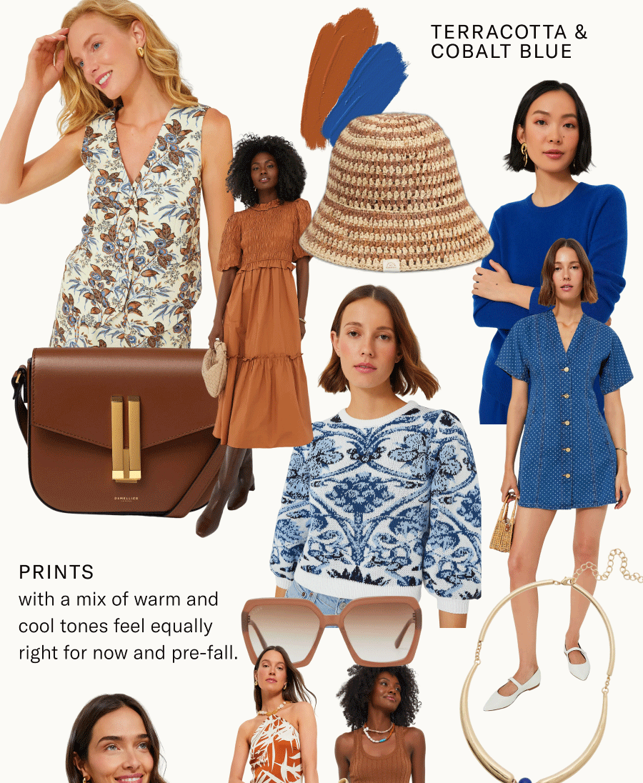 Color Crush: Terracotta & Cobalt Blue