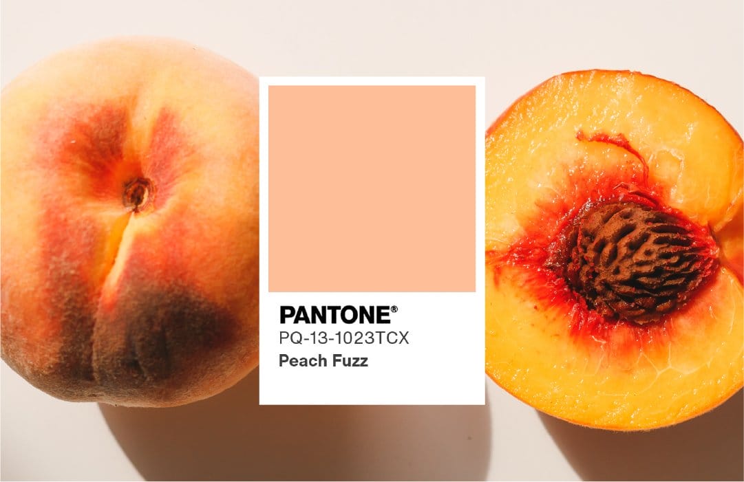 PEACHY SCENTS