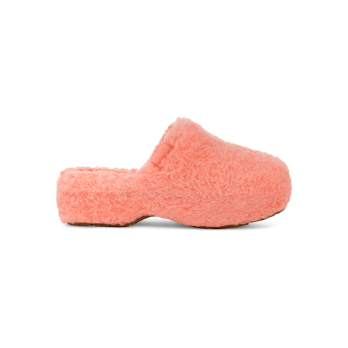 Fuzz Sugar Clog