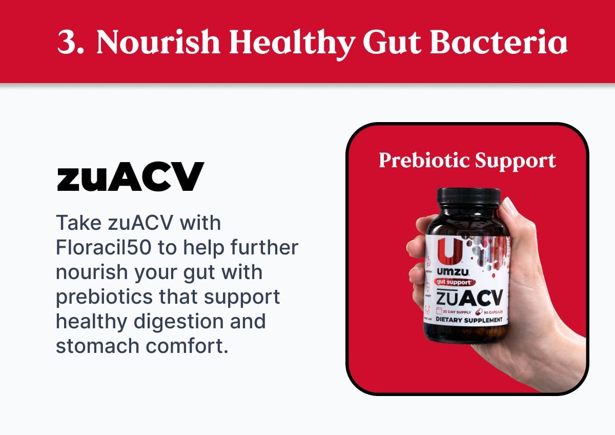 Nourish Healthy Gut Bacteria With zuACV