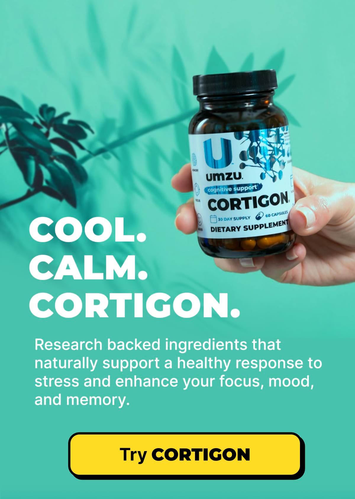 Cool. Calm. Cortigon.